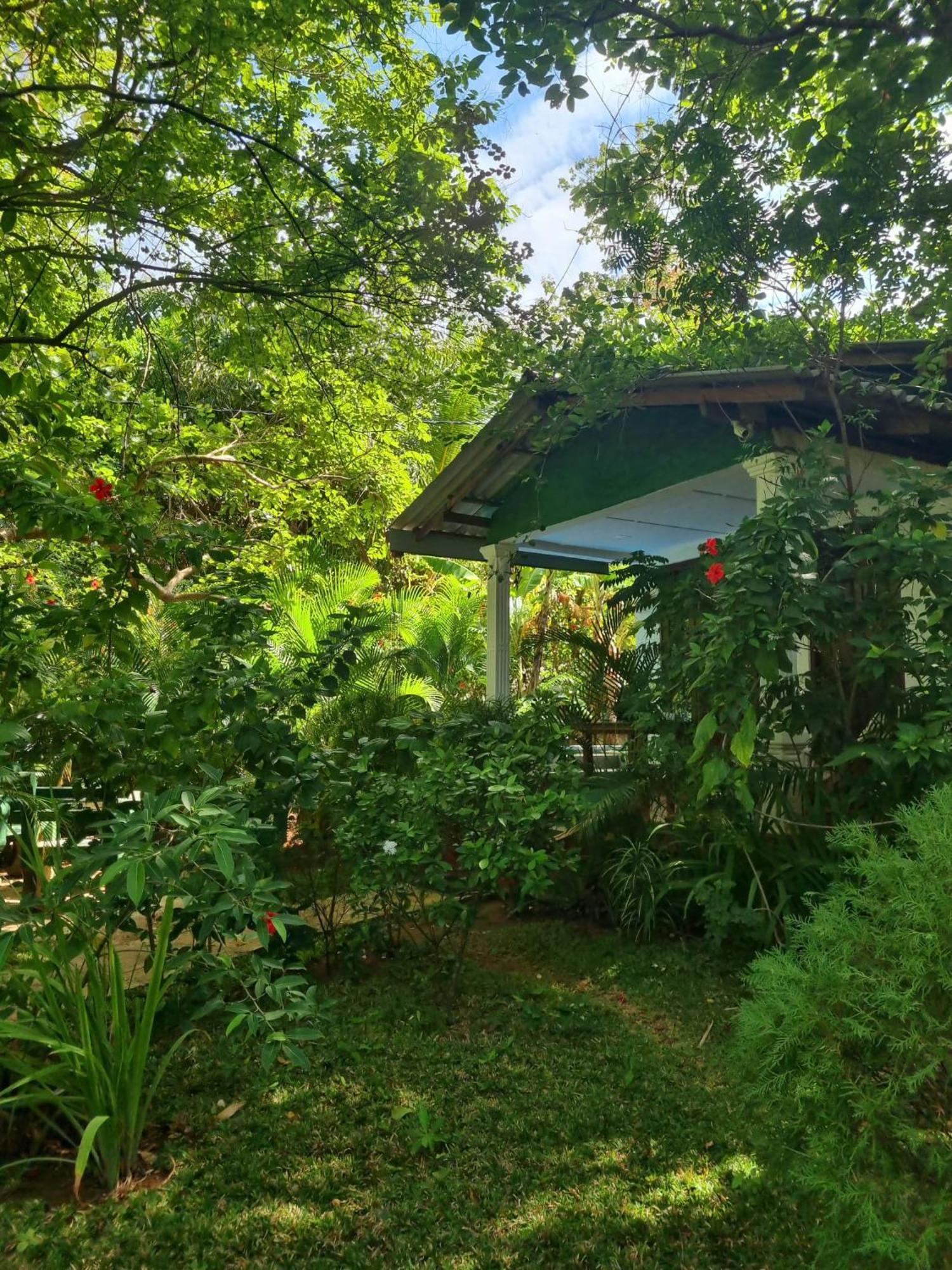 Sunrise Cottage Sigirija Zewnętrze zdjęcie