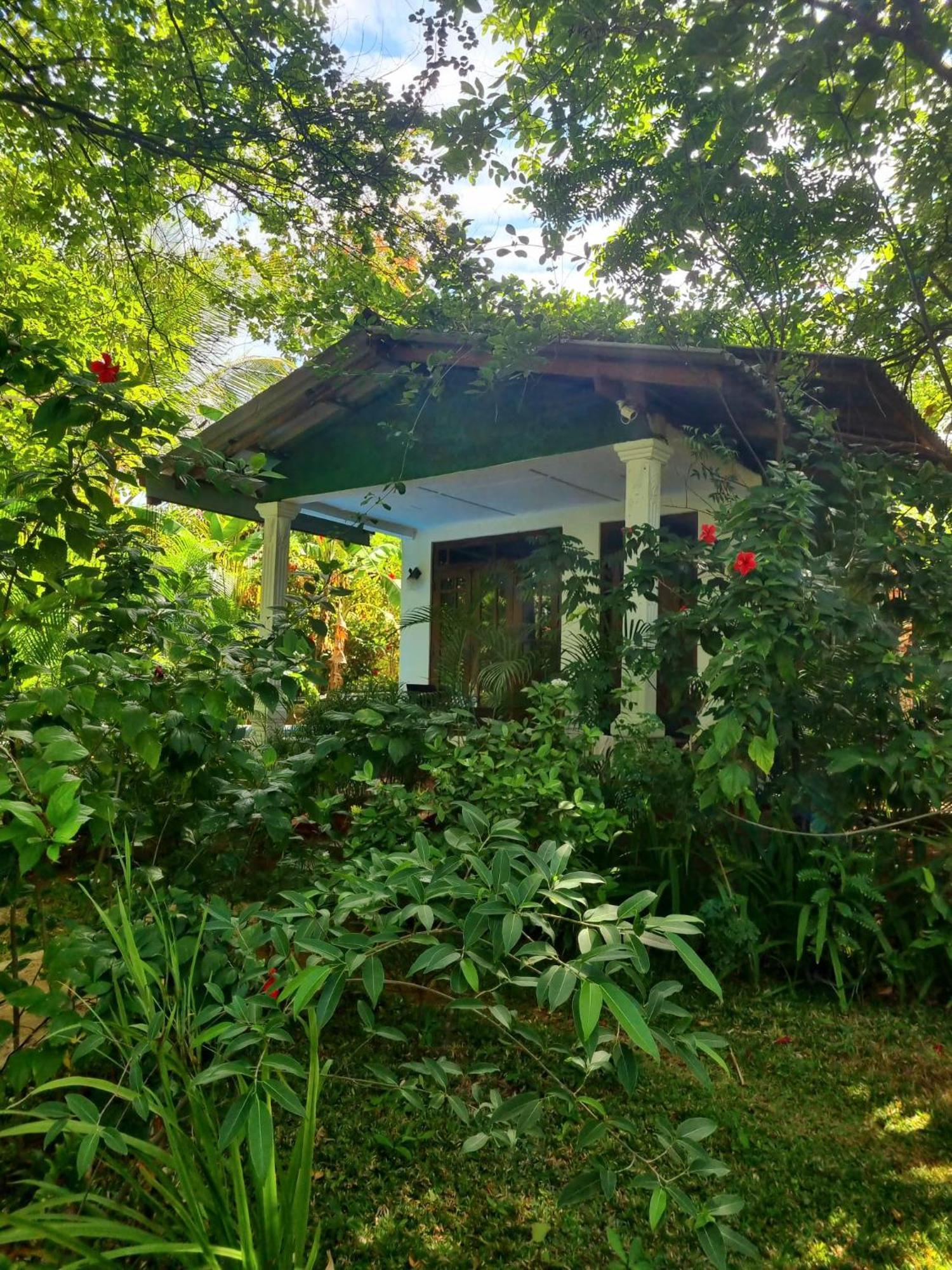 Sunrise Cottage Sigirija Zewnętrze zdjęcie